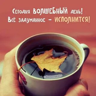 Цитата с добрым утром со смыслом