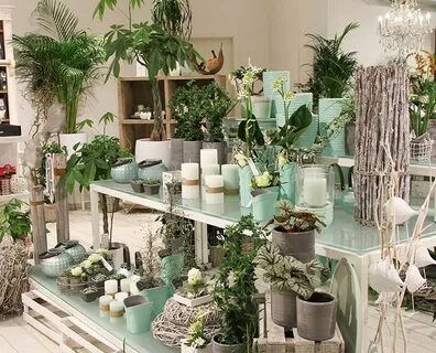 Store plants