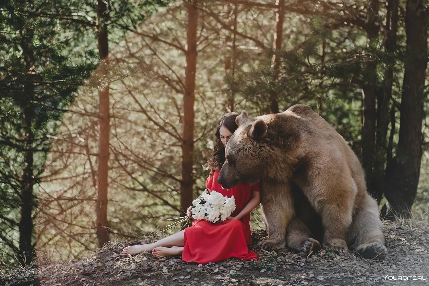 Медведь в лесу. Бурый медведь в тайге. Встреча с дикими животными. Встреча с животным в лесу. Медведь на фоне природы.