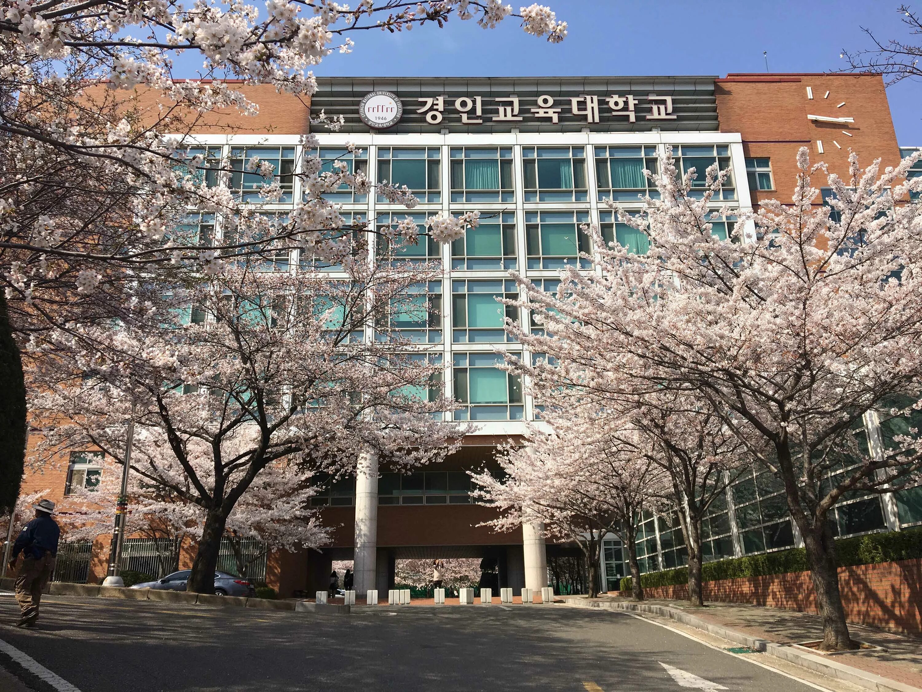 Лучшие университеты кореи