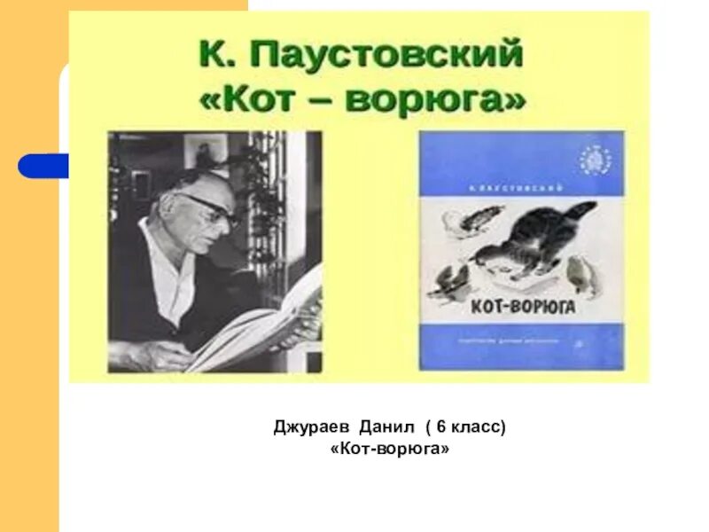 Паустовский к.г. "кот-ворюга". Книга кот ворюга Паустовский. Паустовский кот ворюга иллюстрации. Кот ворюга паустовский тест