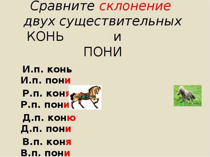 Слово конь по падежам