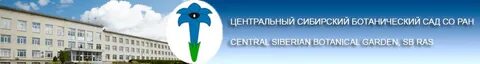 Сайт цсбс со ран новосибирск