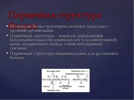 Порядок чередования аминокислот в полипептидной цепи