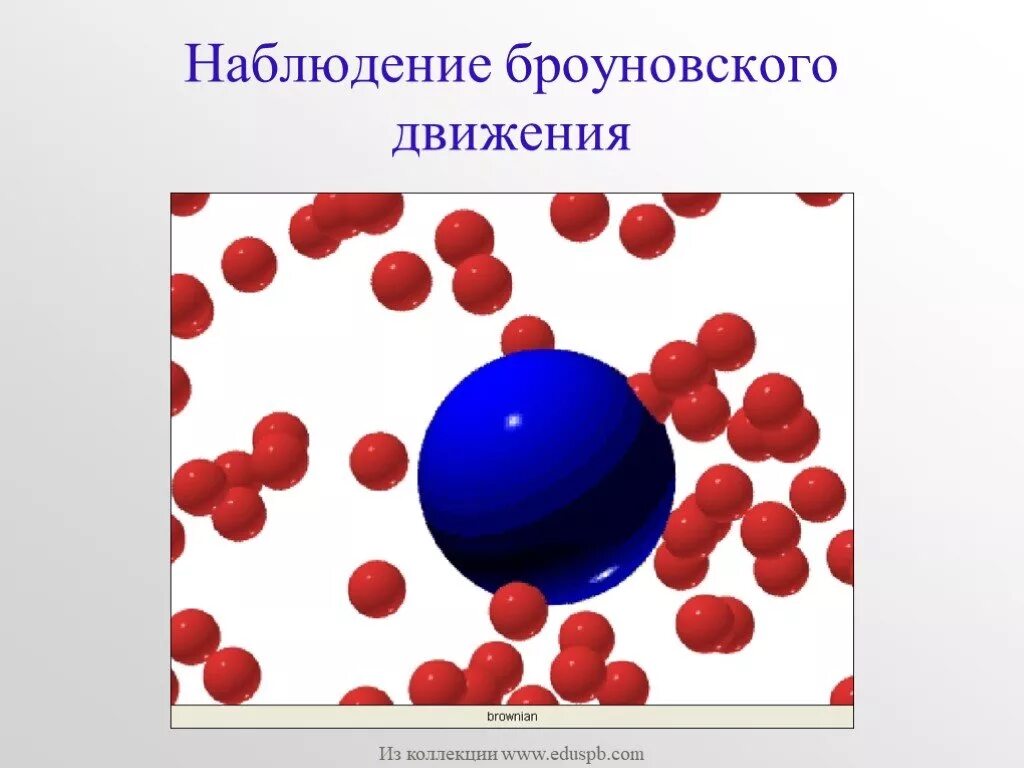 Как выглядит броуновское движение. Броуновское движение картинки. наблюдение броуновского движения. броуновское движение молекул. броуновское движение рисунок.