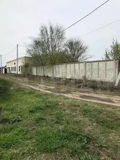 Погода екатериновка безенчукский