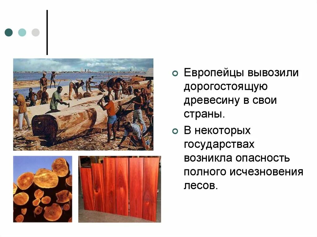 Африка влияние на природу. Влияние человека на природу Африки. Влияние человека на природу Африки 7 класс. Влияние человеческой деятельности на природу Африки. Европейцы вывозили из стран Востока.