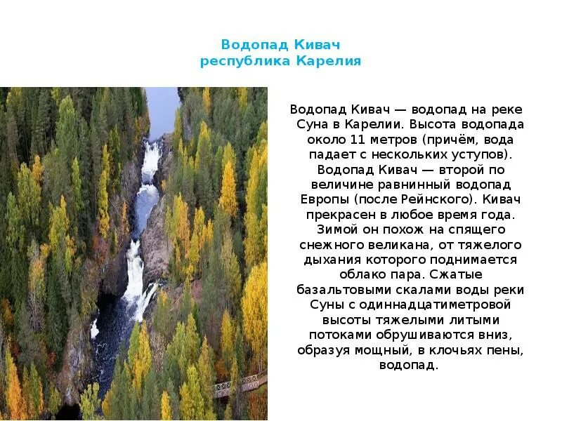 Основная мысль текста заповедник кивач. Водопад Кивач рассказ. Водопад Кивач на карельской речке суна. Легенды Кивач. Водопад Кивач описание.