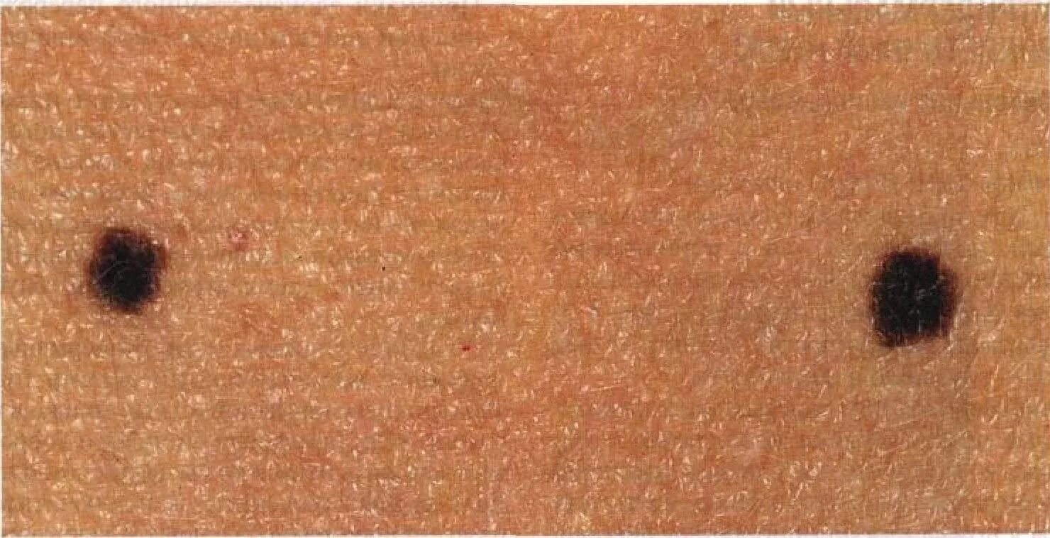 темные пят. брызги краски. темные пят. брызги черной краски. темные пят.