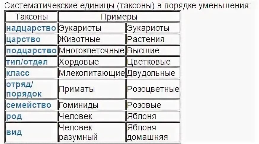 Таксоны в биологии по порядку