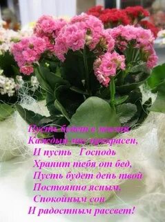 С днем рождения верующей женщине своими