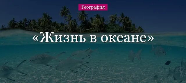 Жизнь в океане 7 класс география. Доклад географии о жизни в океане. Живые организмы в океане география 7 класс. Условия жизни в океане география 7 класс.