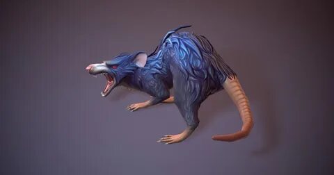 3 rat's