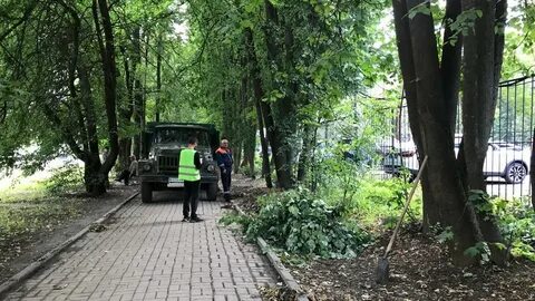 На зеленой и липовой улице
