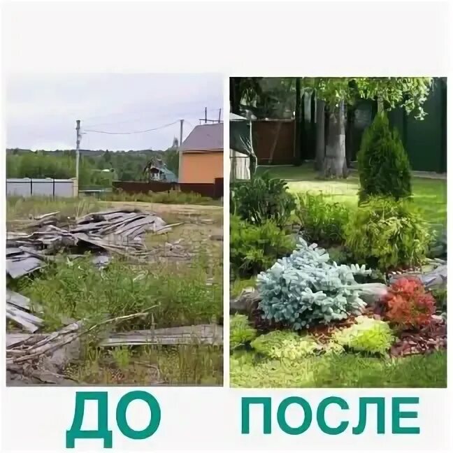 Сад было стало. Сад было стало. Озеленение до и после. Ландшафт до и после. Садовые участки до и после.