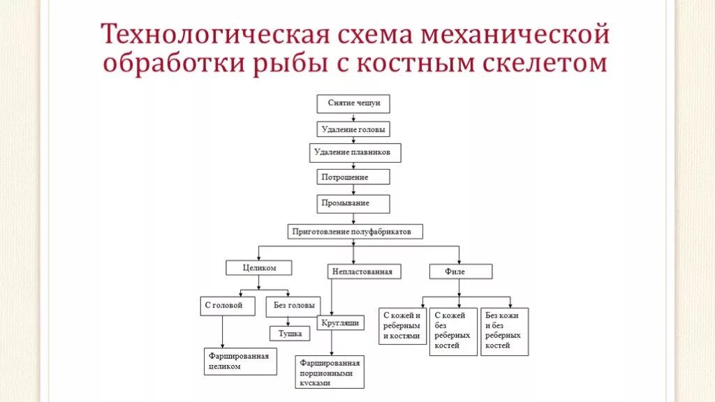 Последовательность механической кулинарной обработки рыбы. Схема механической обработки рыбы с костным скелетом. Технологическая схема обработки судака. Технологическая схема обработки щ. Составьте последовательность операций