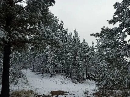 Погода забайкальском крае 2
