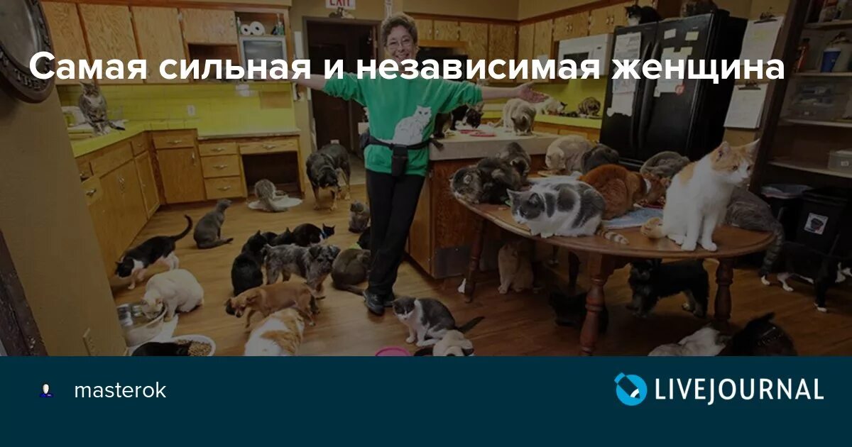 Сильная независимая моя читать. Самые сильные и независимые женщины. Сильная и независимая женщина. Сильная независимая женщина приколы. Сильная и независимая Россия.