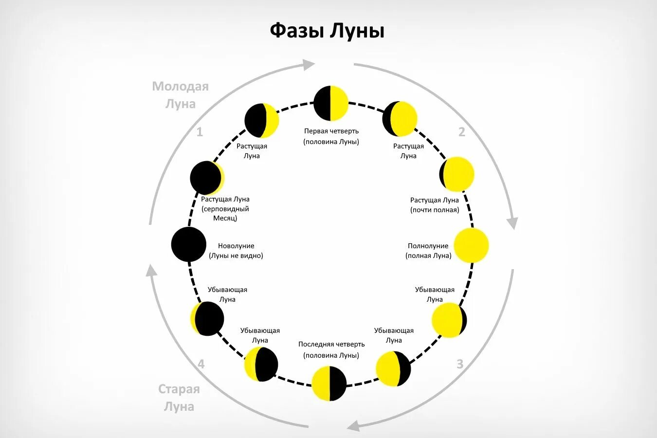 8 апреля 2024 какая фаза луны. Фазы Луны. Фазы Луны схема. Смена фаз Луны. Лунный цикл схема.