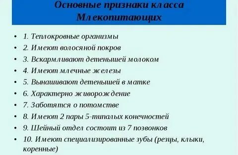 Признаки отличающие млекопитающих от других животных