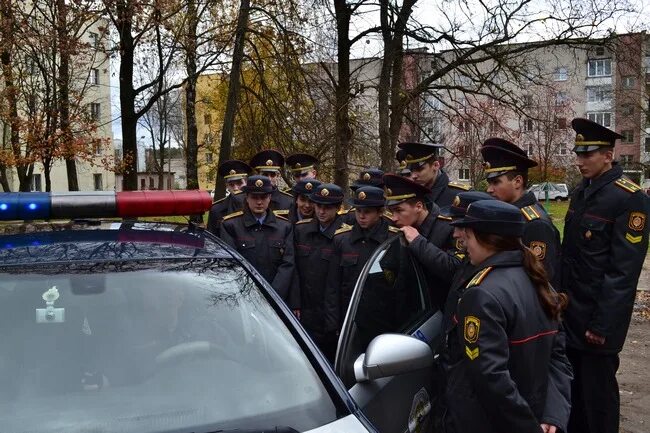 Сайт гаи могилев. ГИБДД Республики Беларусь. ГАИ Могилева. Подберёзкин ГАИ Республики Беларусь. Проведение митинга в д.ГАИ Могилевской обл.