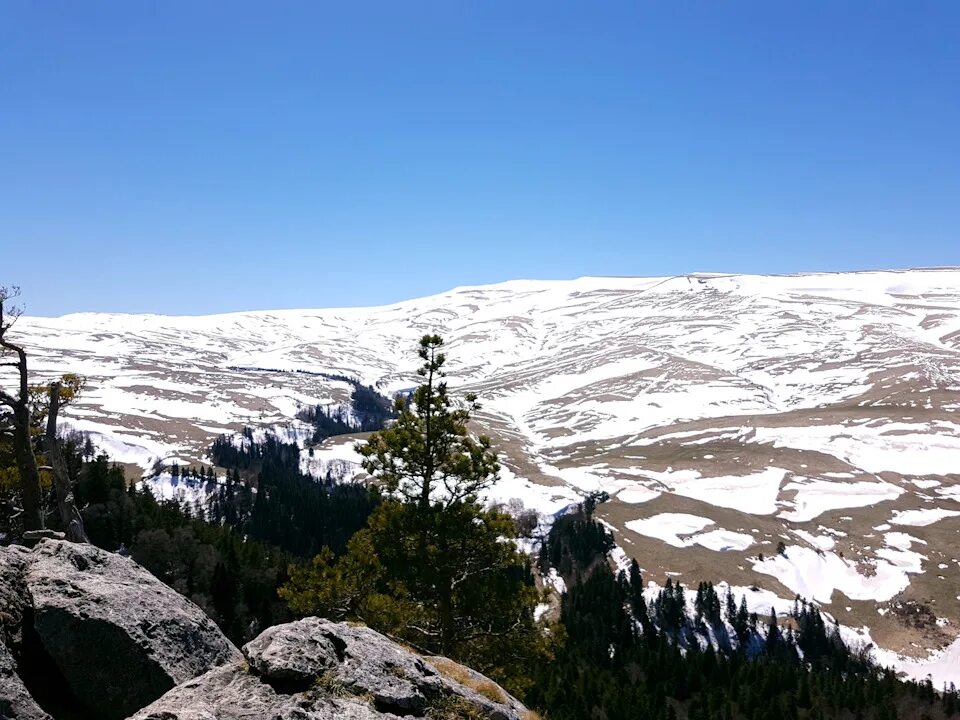 Веб камера лагонаках. Лаго Наки весной. Плато Лаго-Наки Альпийские Луга. Лаго Наки в мае.