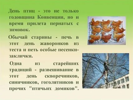 Пернатые гости 3 класс