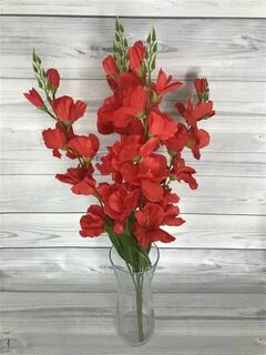 Гладиолусы в цветочном магазине