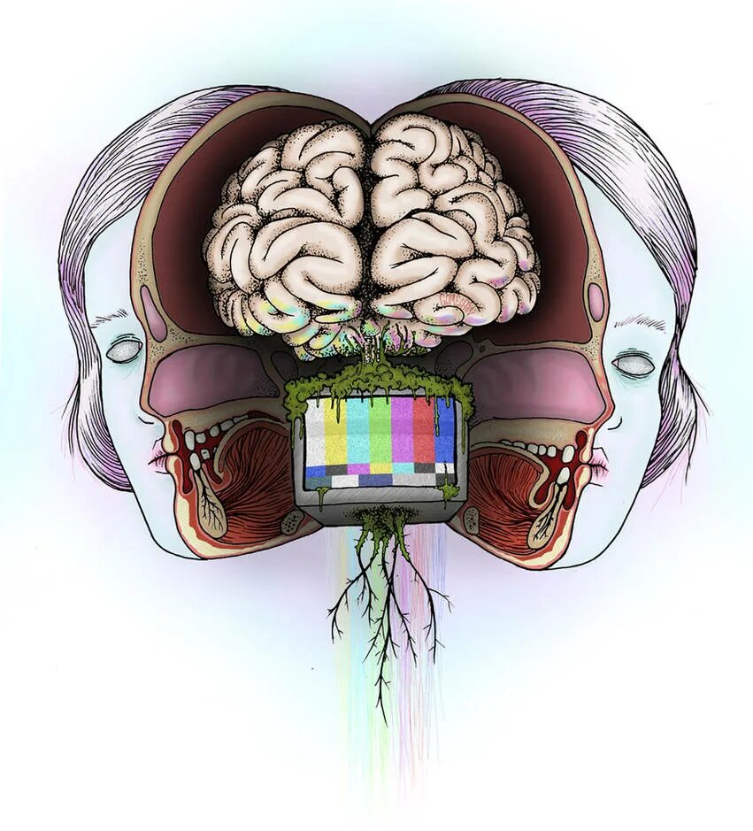 Мозг машины. Мозг от машины. Мозг телевизор. Rкартина мозг из девушек. Стиральная машинка мозга