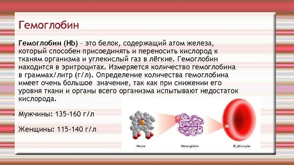 Изменения гемоглобина в крови. Гемоглобина в крови содержится:. Высокий гемоглобин. Низкий гемоглобин у женщин. Снижение уровня гемоглобина в крови.