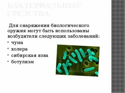 Возбудитель холеры является