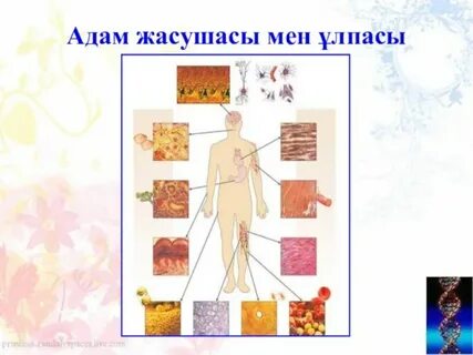 Үлкен жетілген орыс порно