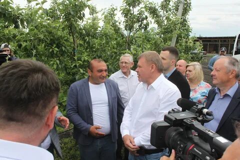 Курская обл последние новости на сегодня свежие