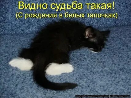 Включи чтоб не зависал