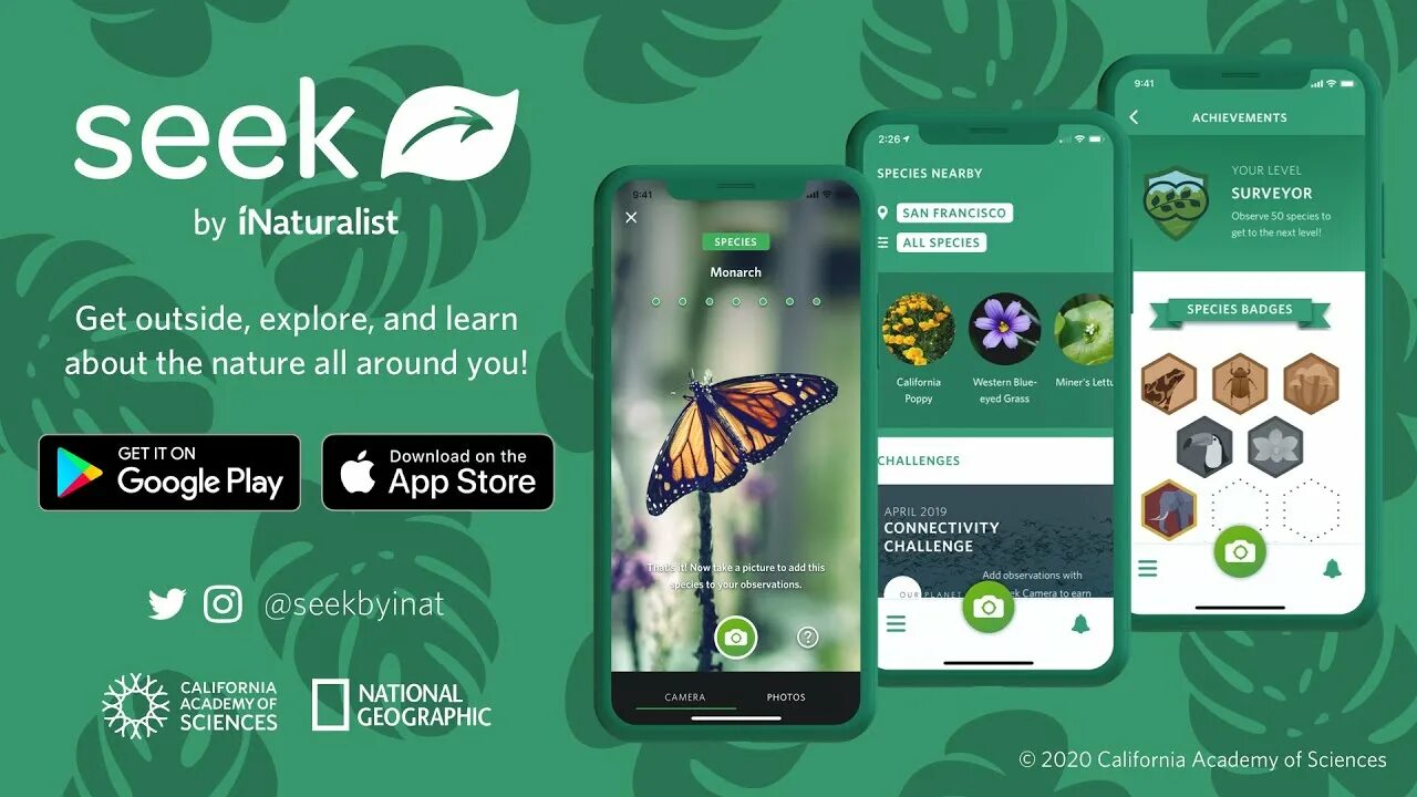 Приложение seek. Seek INATURALIST. INATURALIST приложение. Seek by INATURALIST.