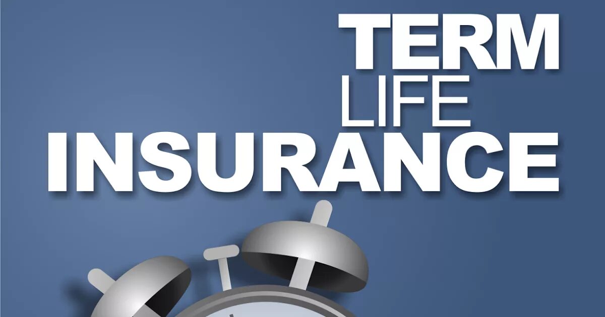 Insurance terminology. Life insurance. Term Life insurance quotes. Term. Term life