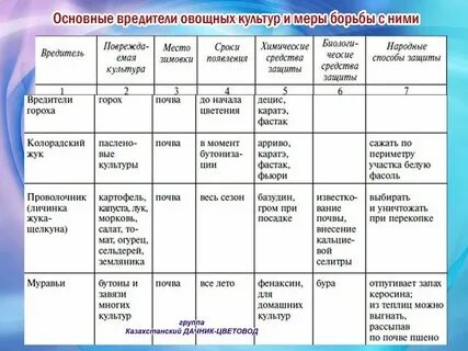 Методы учета вредителей