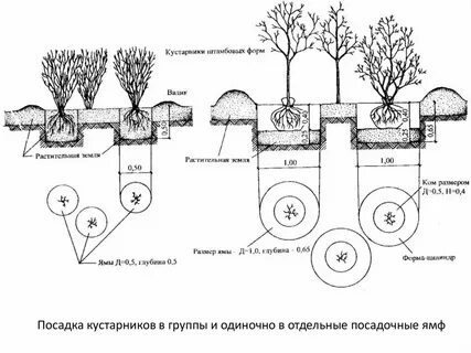 Закрытая система посадки