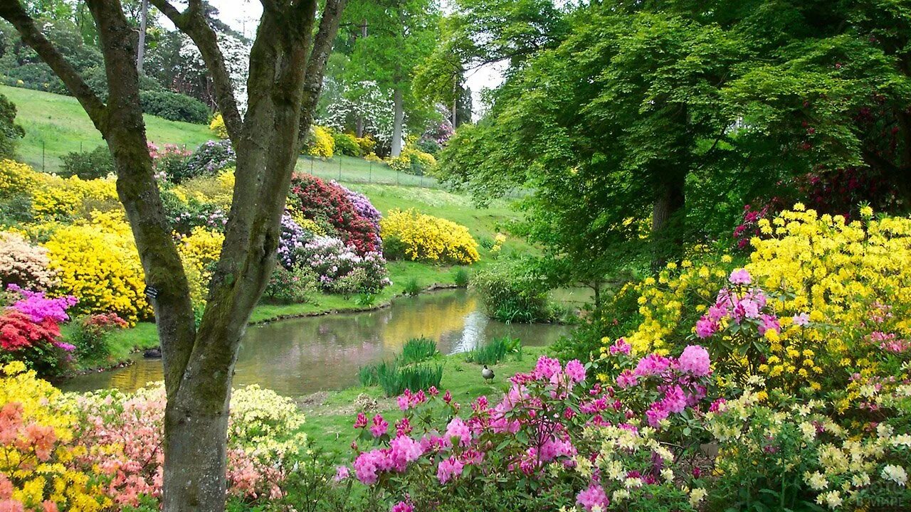 Сады Леонардсли (Leonardslee Gardens). Сад Леонардсли в Англии. Красивый сад. Самые красивые сады. Сады времен значение
