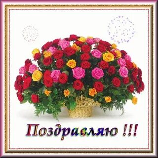 Поздравляю с или со