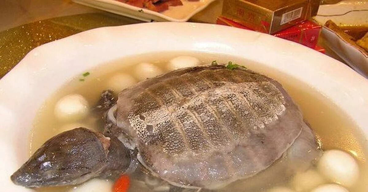 Суп из черепахи. Креольский черепаховый суп. черепаховый суп китайская кухня. деликатесы китая черепаховый суп. черепаховый суп из черепахи красноухой.