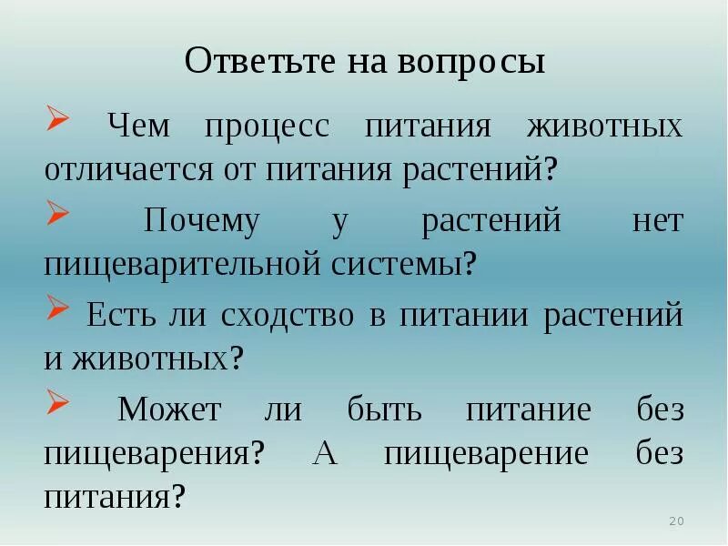 Чем отличается питание растений от питания животных. Чем отличается питание растений. Особенности питания растений и животных. Чем отличается питание растений от животных.