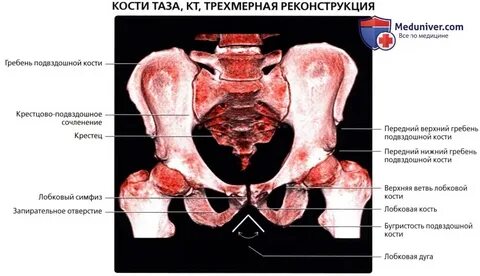 Правом подвздошном сочленении