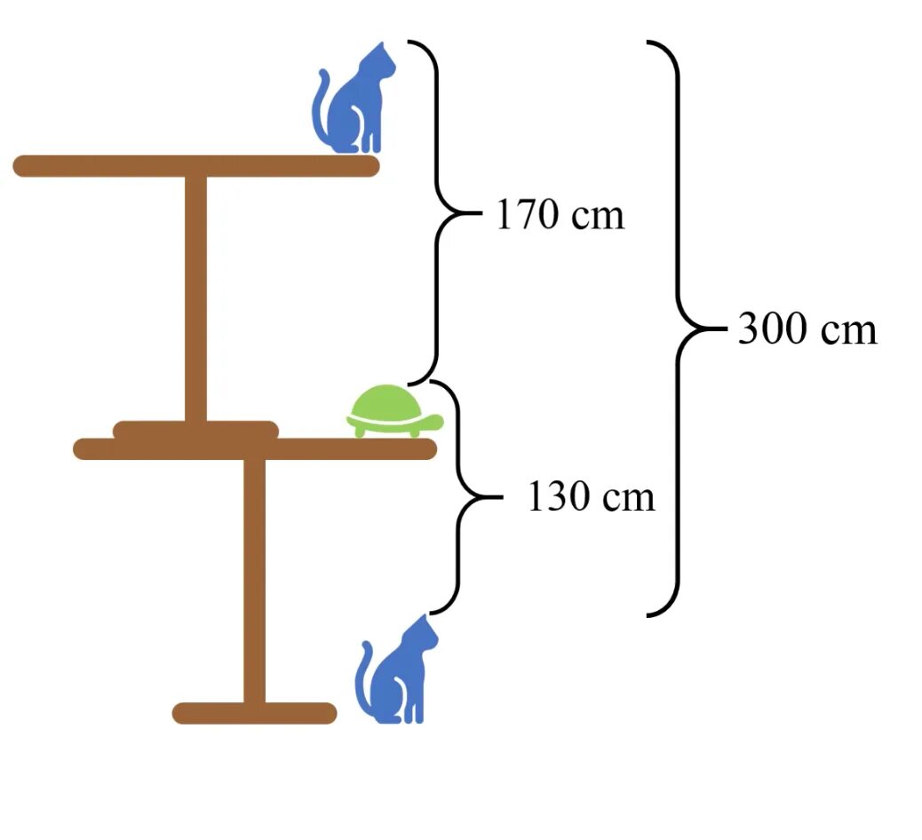 Задача высота стола. Решение задачи про высоту стола с котом и черепахой. Задача про высоту стола. Задача про стол кота и черепаху решение. Задача высота стола кот черепаха.