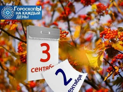 Фестиваль 3 сентября