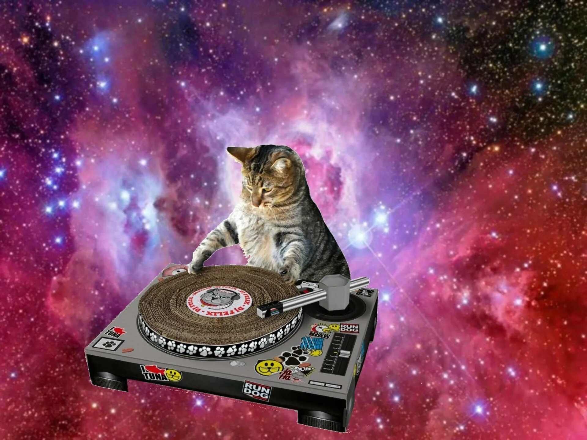 Animals dj