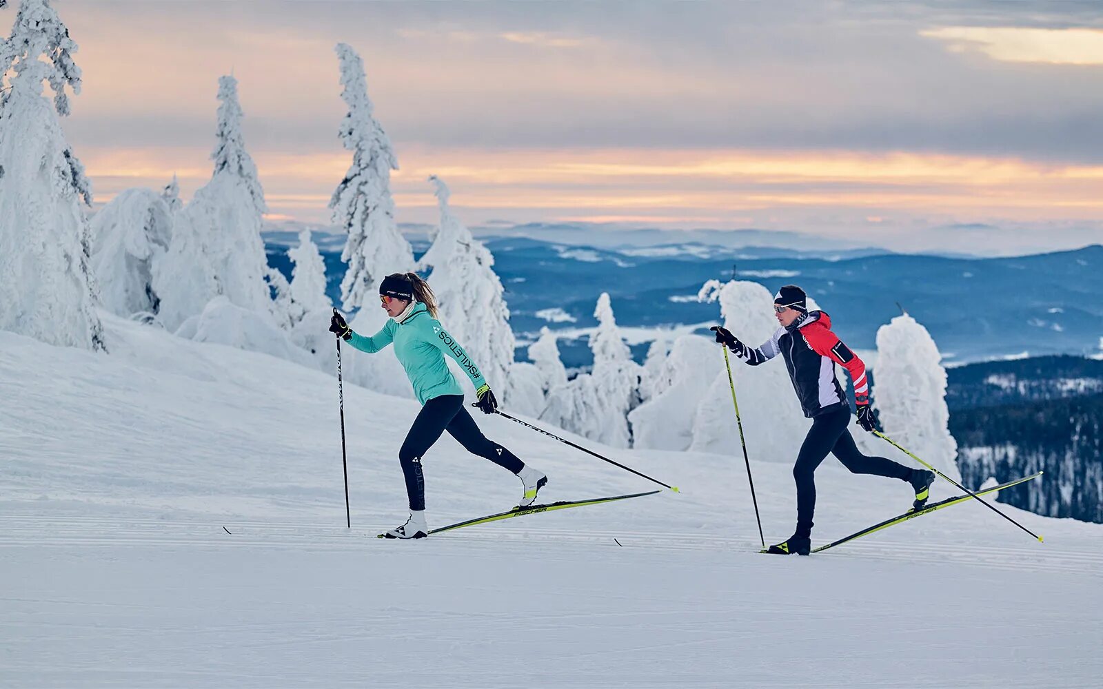 Лыжный спорт классика. Лыжные гонки природа. Cross Country Skiing. Polar oh1 Nordic Skiing. Skiing cross country skis