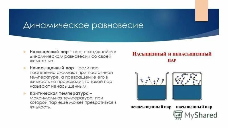 Динамическое равновесие со своей жидкостью