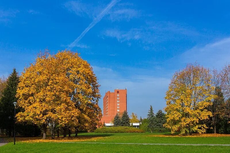 рублево успенский оздоровительный комплекс. пансионат поляны горки 10. рублево ржд крылатское. аптека сосны одинцовский район. поселок заря солослово.