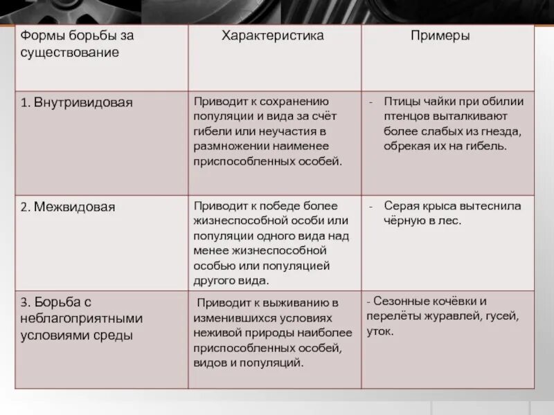 Формы борьбы за существование. Внутривидовая форма борьбы за существование. Таблица борьба за существование 11 класс. Борьба за существование таблица по биологии 9 класс. Таблица борьба за существование 9 класс биология.